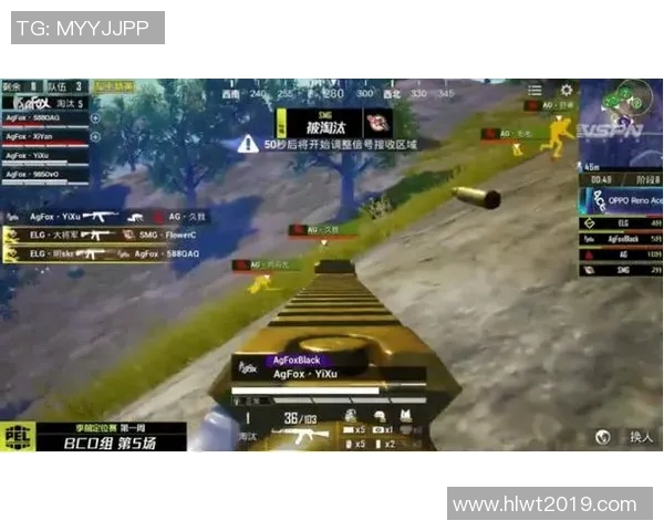 深入探讨和平精英中RNG战队的技术策略与战术分析